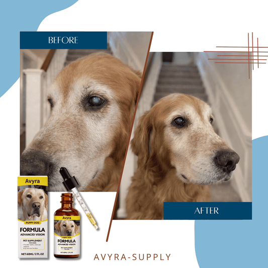 Avyra BrightEyes™ Food Drops – Daily Eye Support for Senior Dogs