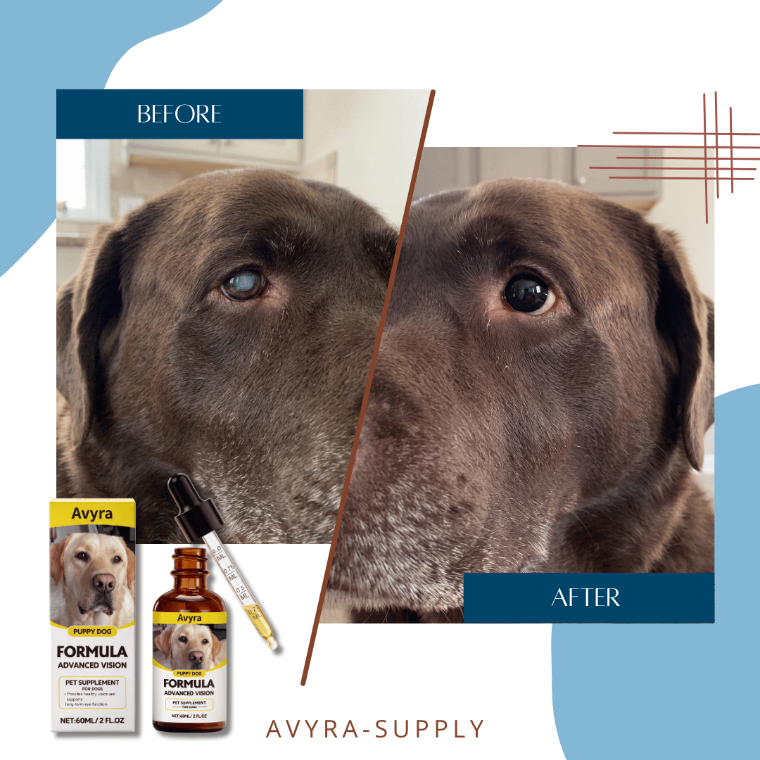 Avyra BrightEyes™ Food Drops – Daily Eye Support for Senior Dogs