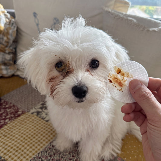 Soft Eye Wipes for Clean Bright Dog Eyes