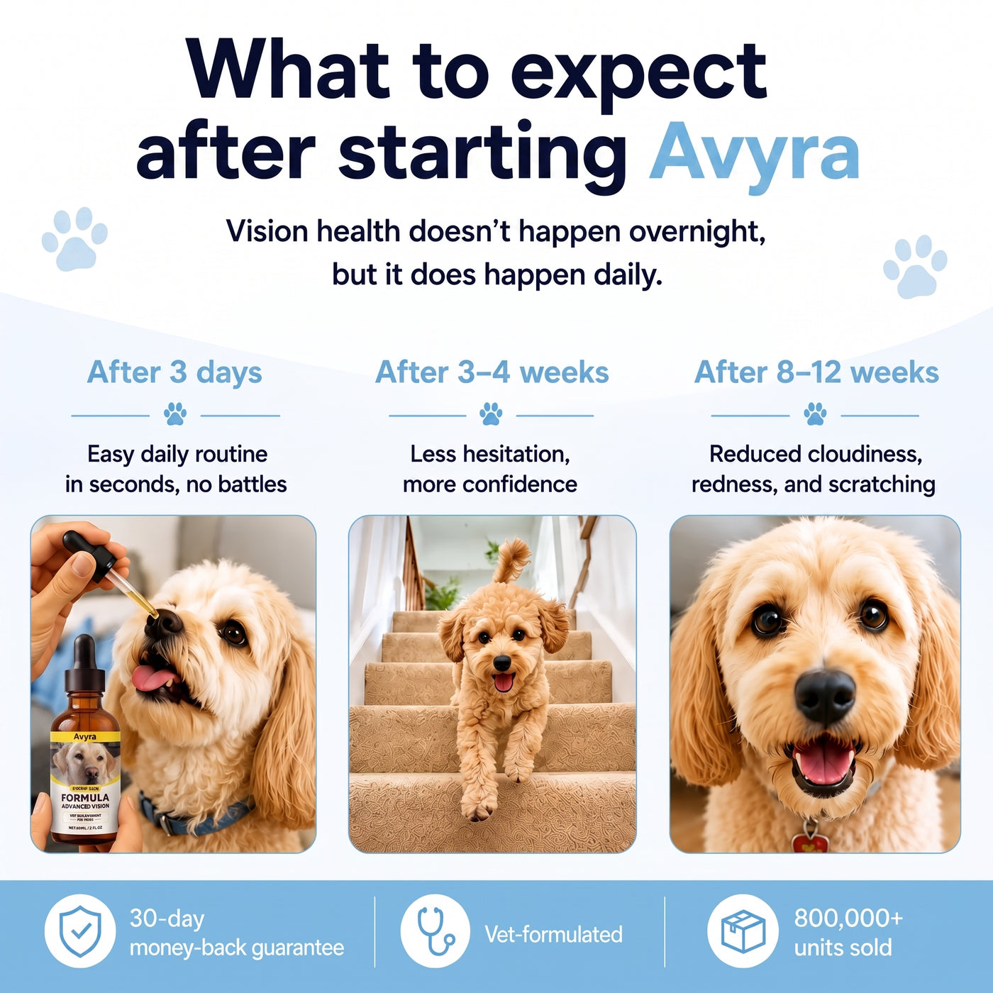 Avyra BrightEyes™ Food Drops – Daily Eye Support for Senior Dogs