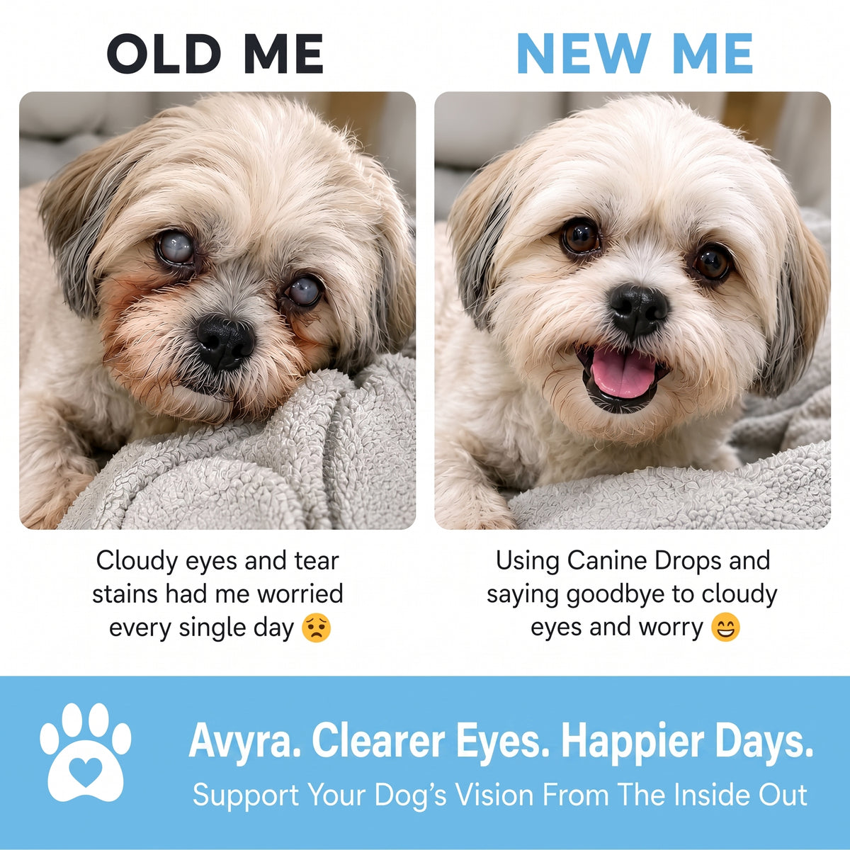 Avyra BrightEyes™ Food Drops – Daily Eye Support for Senior Dogs
