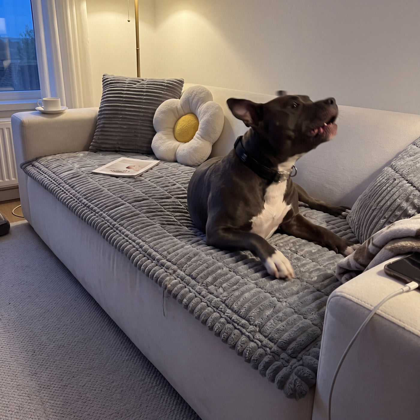 Non Slip Sofa Cover for Dog Hair and Scratches