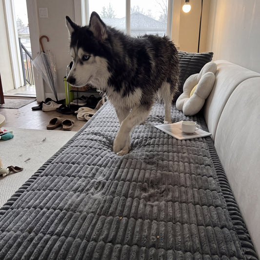 Non Slip Sofa Cover for Dog Hair and Scratches