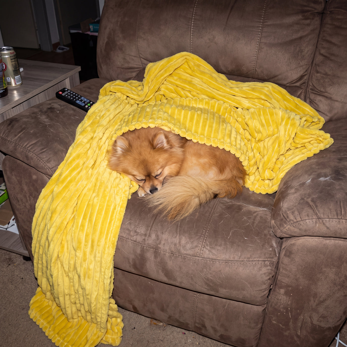Yellow Night Blanket Dogs Can See in the Dark