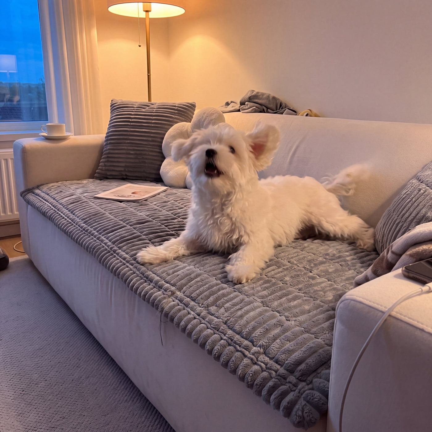 Non Slip Sofa Cover for Dog Hair and Scratches