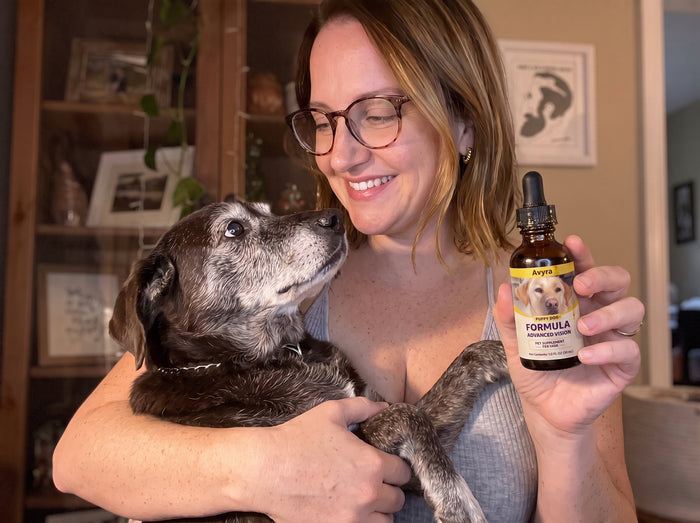 Avyra BrightEyes™ Food Drops – Daily Eye Support for Senior Dogs