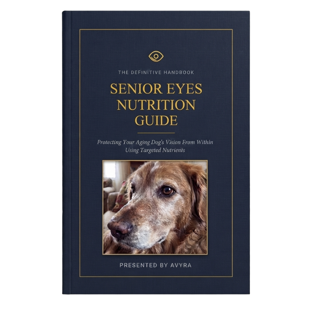 Senior Eyes Nutrition Guide