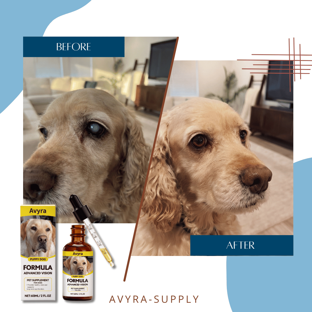 Avyra BrightEyes™ Food Drops – Daily Eye Support for Senior Dogs